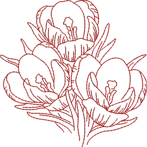 FP161 Thumbnail