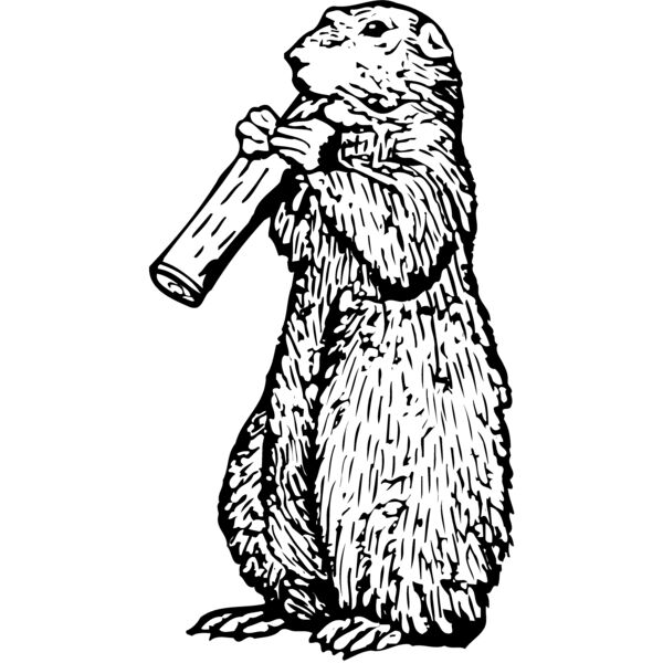 GOPHER02 Thumbnail